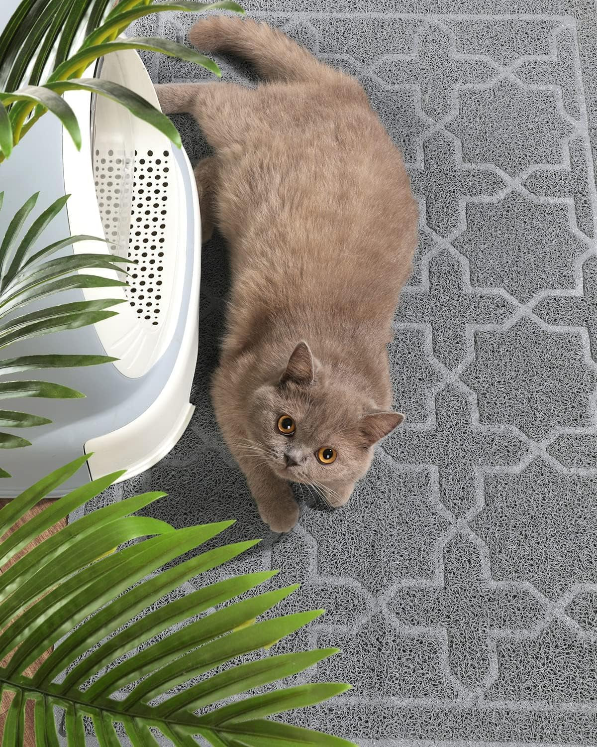 Yimobra Cat Litter Mat, Litter Trapping Waterproof Non Slip PVC Mat, Scatter Control Easy Clean for Litter Box, 35.4"X23.6", Dark Grey