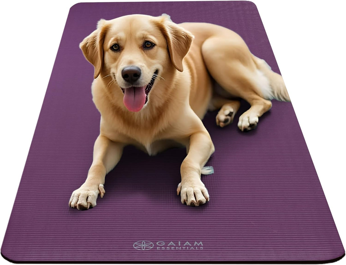 Gaiam Essentials 2/5" Thick (10Mm) Yoga & Pilates, Fitness & Exercise Mat with Easy-Cinch Carrier Strap Cusion Support for Fitness and Gym Workouts