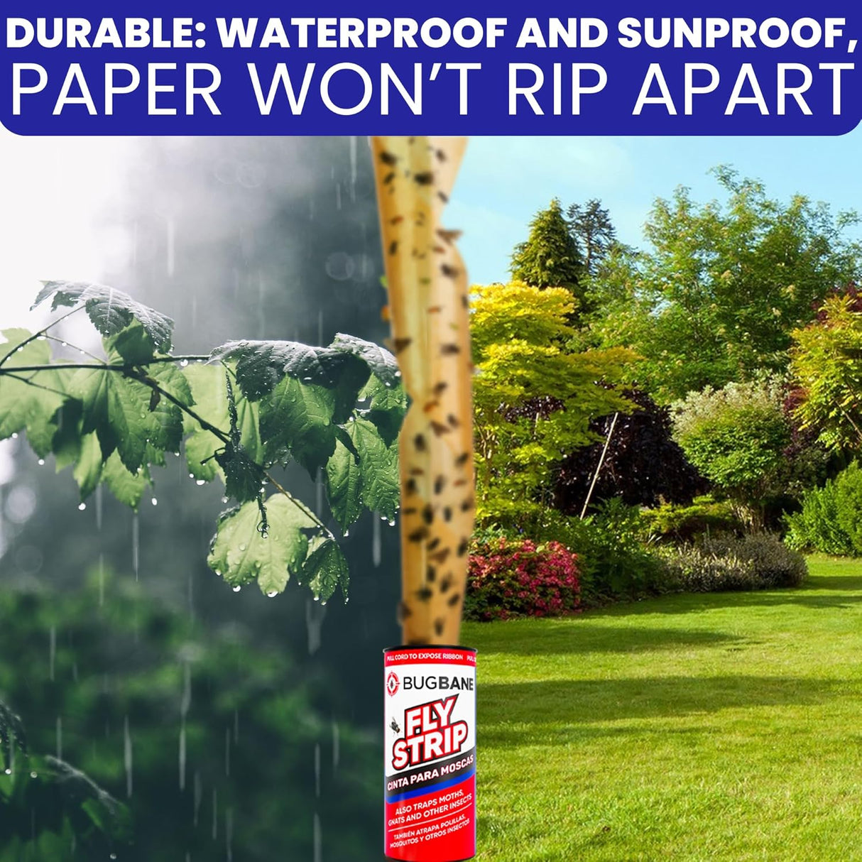 Fly Strips Indoor Sticky Hanging 24Pk with Pins. Non Toxic Outdoor Fly Trap Indoor for Home. Flies Tape Paper Trap Ribbon Roll for House Gnat Fruit and Housefly. Bug Catchers for inside Home Flypaper.