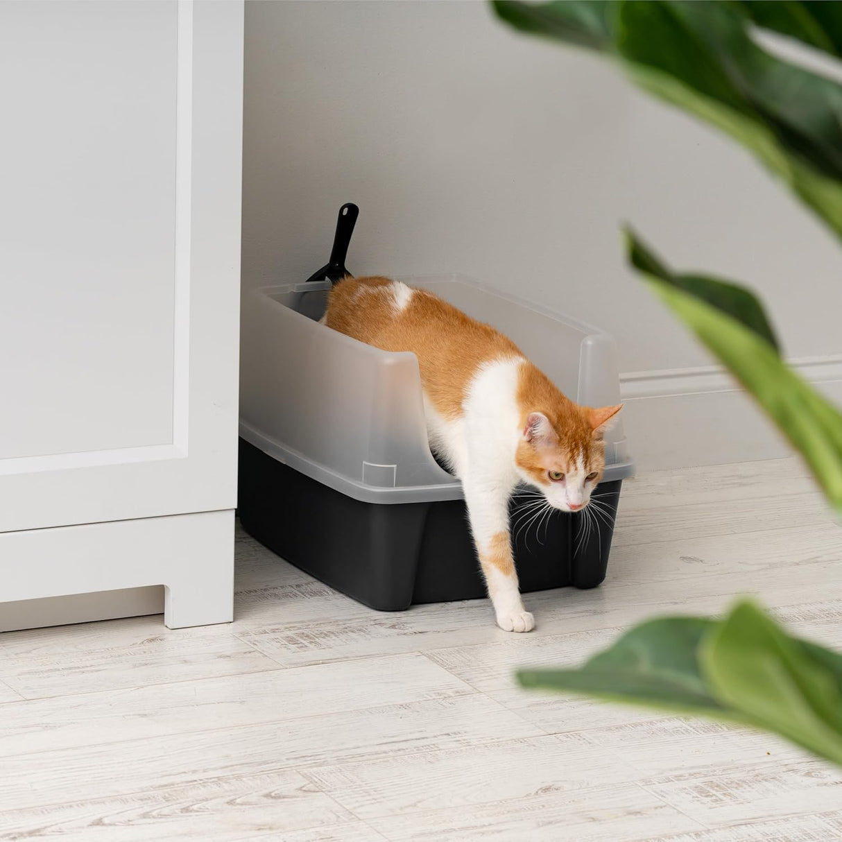 IRIS USA Cat Litter Box Large Open Top with High Sided Walls Tall Scatter Shield Scoop Included Easy Clean Plastic Pan Stain Resistant for Big Cats Kittens Indoor Multi-Cat Households