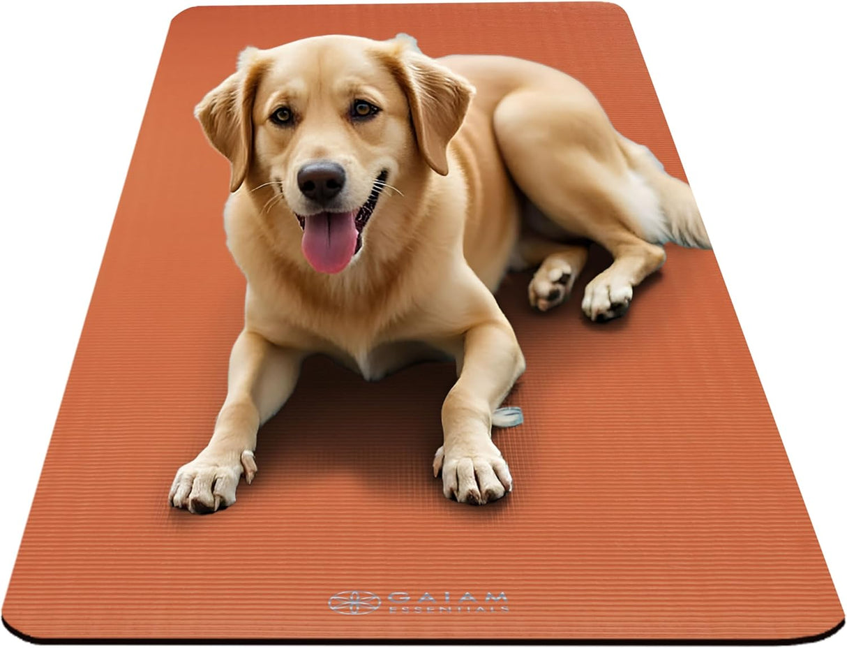 Gaiam Essentials 2/5" Thick (10Mm) Yoga & Pilates, Fitness & Exercise Mat with Easy-Cinch Carrier Strap Cusion Support for Fitness and Gym Workouts