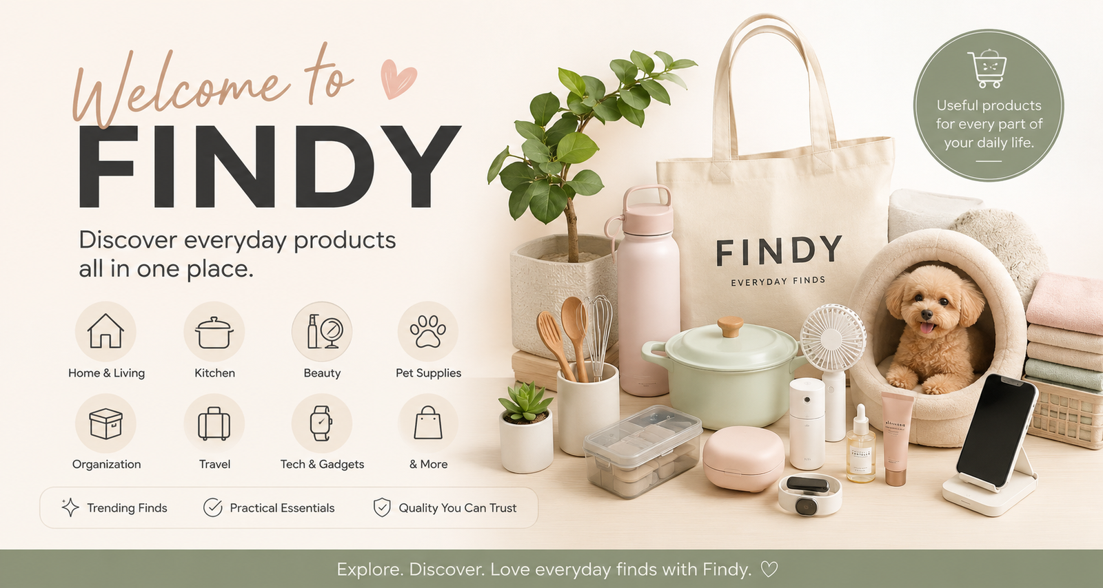 Welcome to Findy: Discover Everyday Products All in One Place