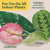 Miracle-Gro Indoor Plant Food for All Plants, Liquid Plant Food for Houseplants, Flowers, Vegetables, Herbs, and More, 8 Fl. Oz., 2-Pack