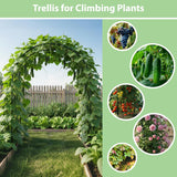 RUBFAC 7.8Ft Garden Arch Trellis for Climbing Plants Outdoor, Metal Arch Frame Garden Arbors and Arches, Outdoor Archway for Flower Vines Wedding Bridal Party Decoration, Black