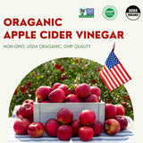 ALLBIO Organic Apple Cider Vinegar Sticks | 0.71Oz X 15 Pack | USDA Organic, Non-Gmo, Sugar-Free (1 Box (15 Count Total))