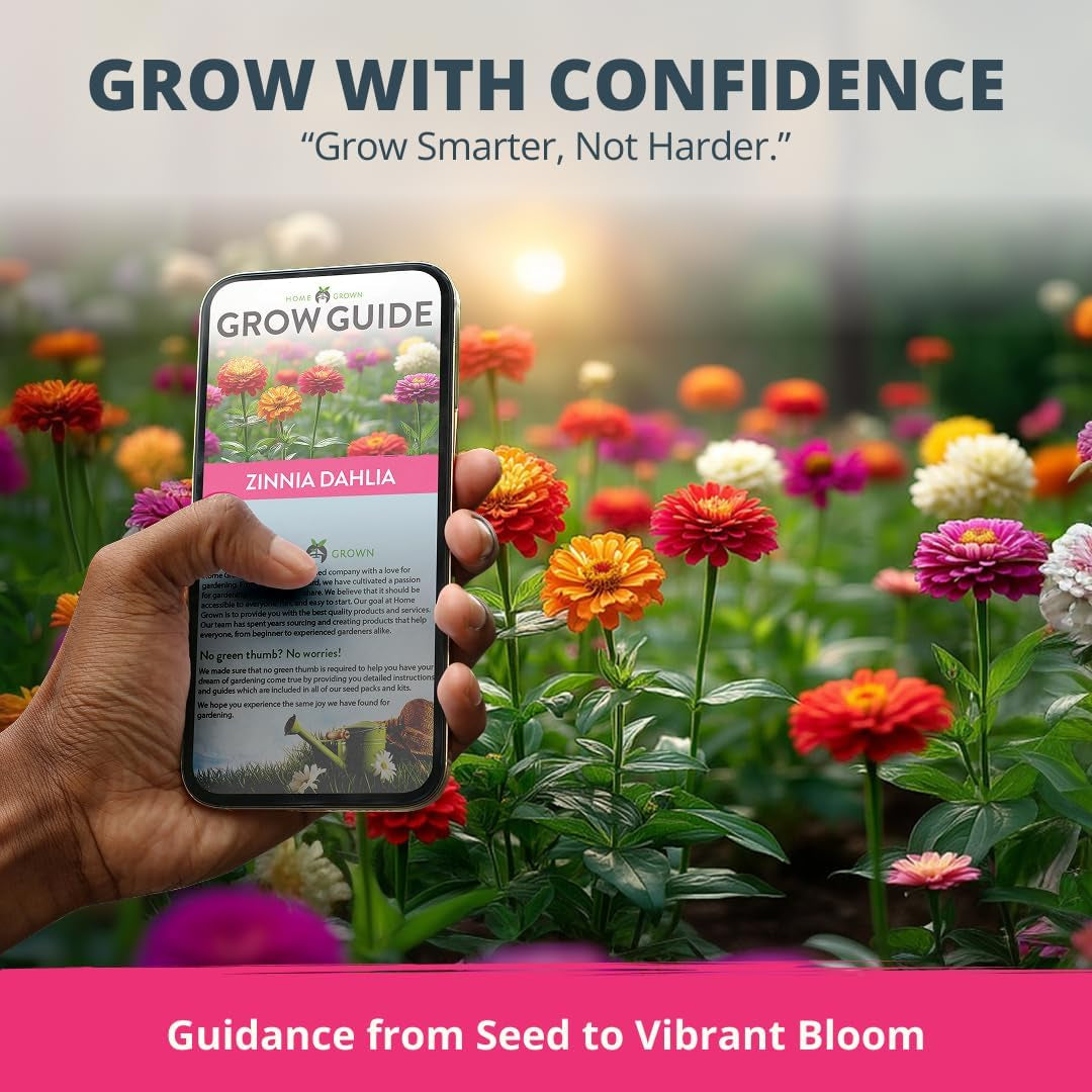 HOME GROWN Zinnia Dahlia Seeds Pack for 2026 Non GMO 524 Flower Seeds | Vibrant Zinnia Elegans for Pollinator Gardens, Borders & Containers | Easy-To-Grow Outdoor Blooms