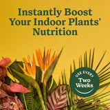 Miracle-Gro Indoor Plant Food for All Plants, Liquid Plant Food for Houseplants, Flowers, Vegetables, Herbs, and More, 8 Fl. Oz., 2-Pack