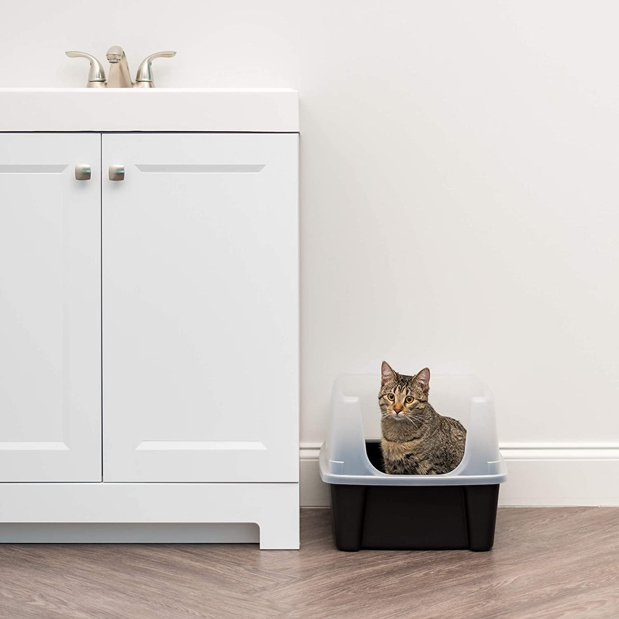 IRIS USA Cat Litter Box Large Open Top with High Sided Walls Tall Scatter Shield Scoop Included Easy Clean Plastic Pan Stain Resistant for Big Cats Kittens Indoor Multi-Cat Households