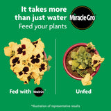 Miracle-Gro Shake 'N Feed All Purpose Plant Food - Outdoor and Indoor Plant Food for In-Ground and Containers, Feeds for up to 3 Months, 4.5 Lbs.
