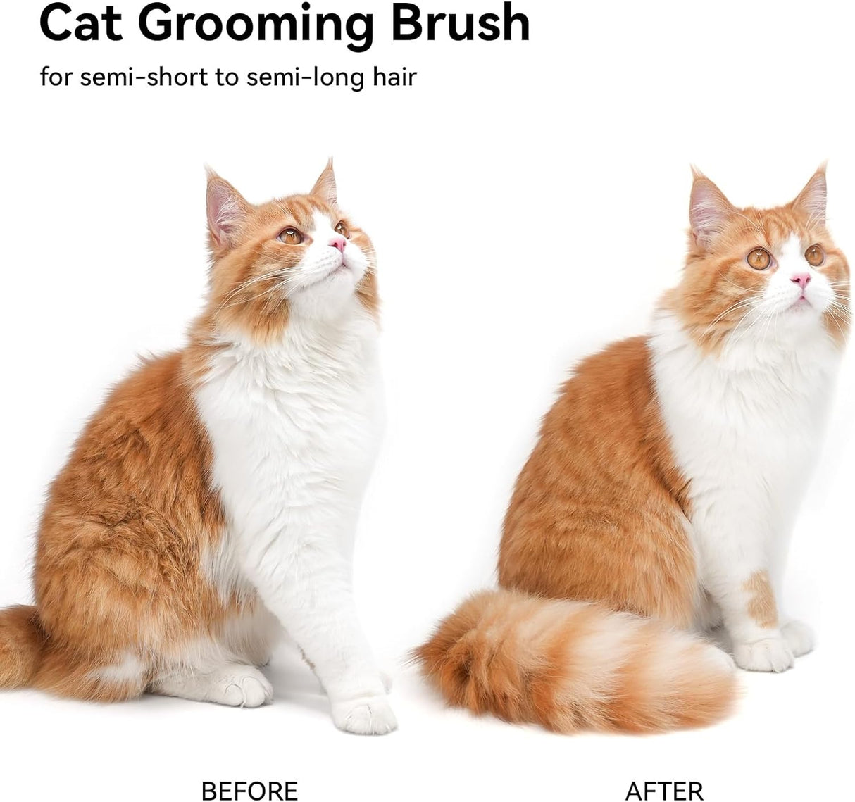 Aumuca Cat Brush for Shedding, Cat Brushes for Indoor Cats, Cat Brush for Long or Short Haired Cats, Cat Grooming Brush Cat Comb for Kitten Rabbit Massage Removes Loose Fur