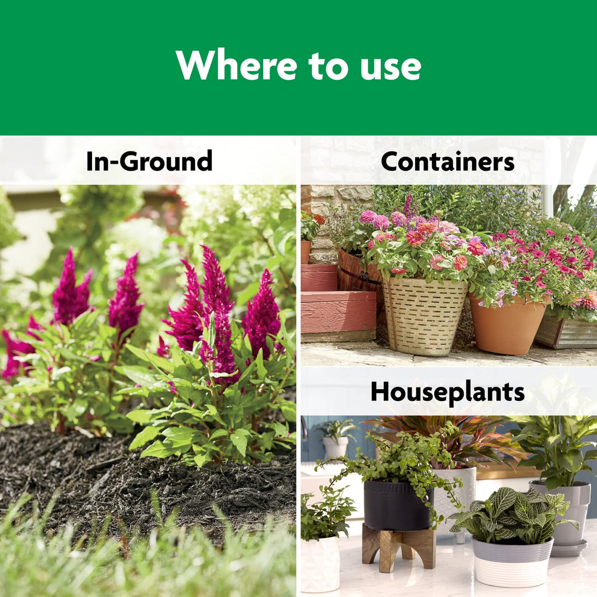 Miracle-Gro Shake 'N Feed All Purpose Plant Food - Outdoor and Indoor Plant Food for In-Ground and Containers, Feeds for up to 3 Months, 4.5 Lbs.