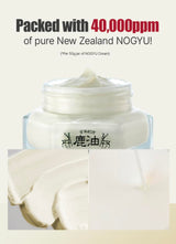 Nogyu Skin Rebirth Cream 50 Ml / 1.76 Oz – Korean Facial Moisturizer, Hydrating Face Cream