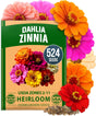 HOME GROWN Zinnia Dahlia Seeds Pack for 2026 Non GMO 524 Flower Seeds | Vibrant Zinnia Elegans for Pollinator Gardens, Borders & Containers | Easy-To-Grow Outdoor Blooms