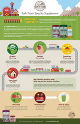 Country Farms Apple Cider Vinegar Capsules, with Ginger, Cayenne and Maple, Helps Aid Digestion, Supports Healthy Weight Loss, Cleanses and Detoxifies, Supports Water Balance, 90 Count, 90 Servings