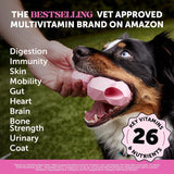 10-In-1 Dog Multivitamin Supplement with Glucosamine & Probiotics - Hip & Joint Support, Digestive Health, Immune Support, Heart & Skin - All-In-One Daily Vitamins & Omega-3S (Peanut Butter, 90 Ct)