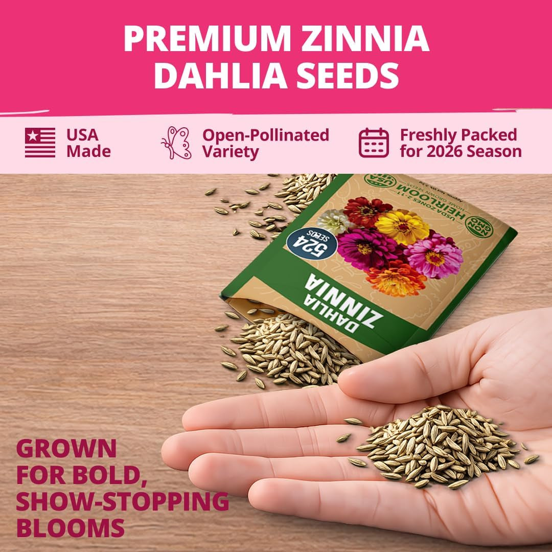 HOME GROWN Zinnia Dahlia Seeds Pack for 2026 Non GMO 524 Flower Seeds | Vibrant Zinnia Elegans for Pollinator Gardens, Borders & Containers | Easy-To-Grow Outdoor Blooms